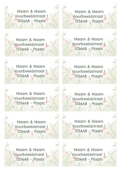 Adressticker wildbloemen | 94 x 45 mm